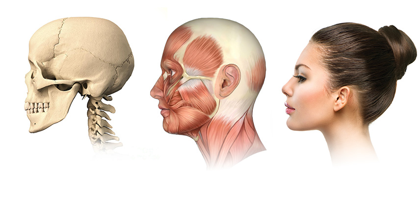 Деформация кости черепа. Возрастные изменения черепа. Изменение черепа с возрастом.